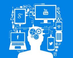 Certificate In Computer Applications