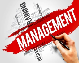 Certificate In Management